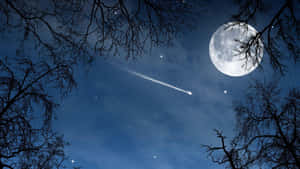 夜晚透過光禿樹枝可見月亮和流星。