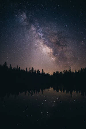 夜晚，銀河系倒映在平靜的湖中，周圍環繞著松樹。