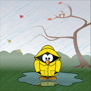 企鵝穿雨衣雨天