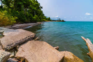 綠樹成蔭的沙灘旁是平靜的碧綠海水，前景有大型岩石。 — 湖 壁紙