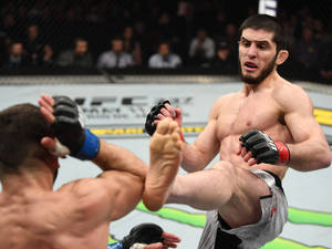 MMA拳手在UFC比賽中執行高踢。 — 搏擊會 GIF 壁紙