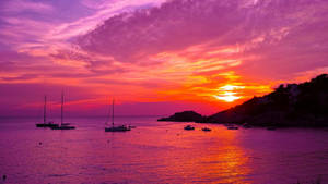 在鮮豔的粉紅色和橙色夕陽下，帆船在海灣中停泊。
