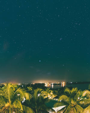 棕櫚樹下星空夜空，水面遠處城市燈光。 — 4:5 壁紙