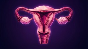帶有發光粉紅色面的女性生殖系統低多邊形3D渲染。