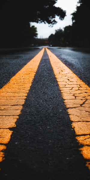 磨損的道路，明亮的黃色線條在黃昏時分通往樹木成蔭的遠方。 — Pixel 3 壁紙