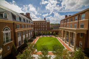 大學庭院，有磚砌建築和綠色草坪，在藍天下。