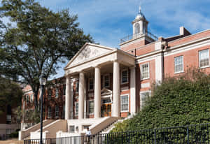 大學建築，有柱子和圓頂，被綠樹環繞，藍天白雲。 — 建築 壁紙