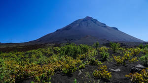藍天下黑色熔岩場上的火山山脈與綠色灌木