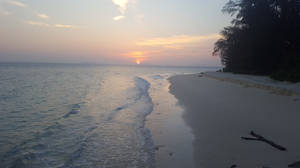 平靜海洋上的夕陽，沙灘上的海浪和樹木的剪影