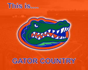 Gator Country 標誌，帶有綠色鱷魚和橙色背景