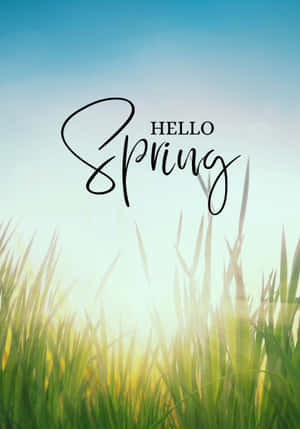 鮮綠色嘅草喺明亮陽光下搖曳，襯住藍天，上面有「Hello Spring」文字。