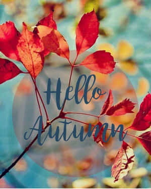 紅色秋葉，帶有「Hello Autumn」文字，背景為藍色模糊。