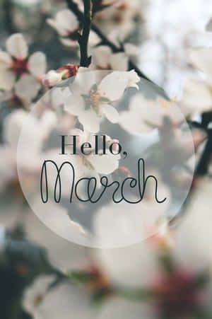櫻花與Hello March文字疊加，柔焦效果。