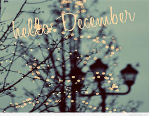光禿的樹枝和路燈在節日燈光下閃耀，背景是藍綠色天空，並有「hello December」文字。