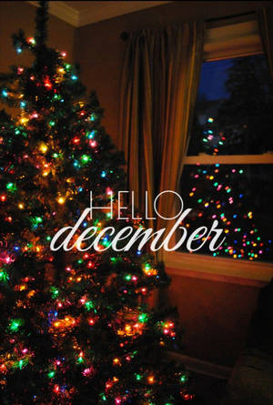 舒適的聖誕樹，彩色燈光在夜晚的窗戶中反射，帶有hello december文字。