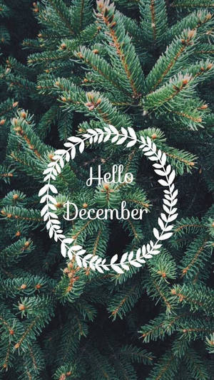 白色月桂花環，帶有 Hello December 文字，松樹背景