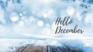 白雪覆蓋的木質表面，帶有松樹枝和「Hello December」文字。