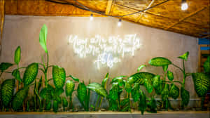 霓虹燈牌被綠色植物包圍，掛在溫暖天花燈下的牆上 — 閃電 GIF 壁紙