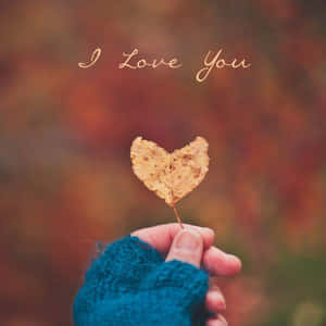 手拿著心形葉子，帶有「I Love You」文字，背景溫暖秋意。