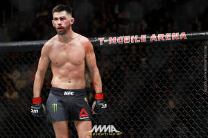 比賽後八角籠內一名瘀傷的MMA拳手。