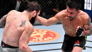 兩名男性拳手在MMA鐵籠內激烈比賽中互相出拳。