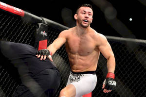 MMA拳手在比賽中於八角籠內執行高踢。