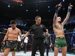 MMA拳手在比賽後於八角籠中慶祝勝利。