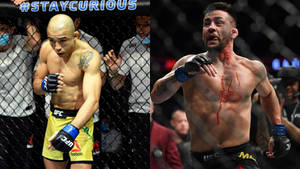 兩名男性MMA拳手在八角籠中，一名胸口有血，另一名專注備戰。