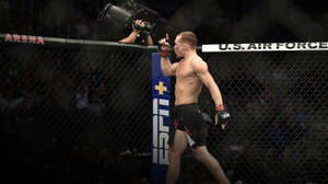 MMA拳手在八角籠內慶祝勝利，帶有ESPN和美國空軍標誌。