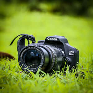 黑色Canon DSLR相機在綠色草地上，淺景深。