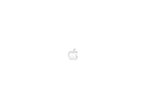 白色背景上的Apple標誌