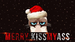 戴聖誕帽的暴躁貓，星空夜下帶有「MERRY KISSMYASS」文字。