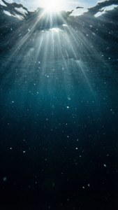 陽光穿過海面，照亮深藍色海水中的浮游粒子。