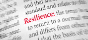 字典頁面，resilience 一詞以紅色突出顯示。