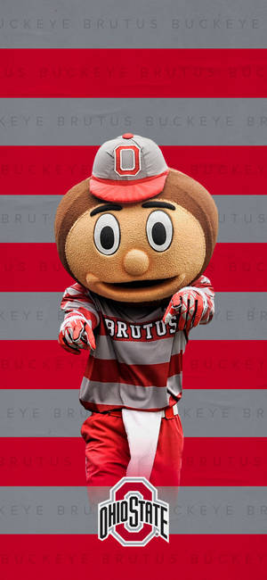 俄亥俄州立大學Brutus Buckeye吉祥物，身穿紅灰制服，背景為條紋。