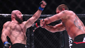 兩名MMA鬥士在籠中比賽時互相出拳。