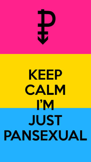 泛性戀驕傲旗幟，上面有粗體黑色文字「Keep Calm I'm Just Pansexual」。