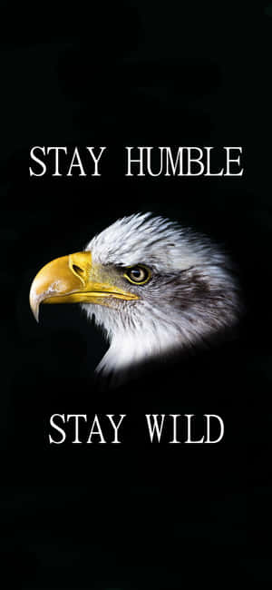 一隻白頭鷹，黑色背景上帶有文字「Stay Humble Stay Wild」。 — Galaxy A15 壁紙