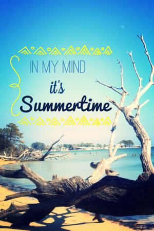 藍天下有浮木和文字「In My Mind it's Summertime」的海灘。 — Huawei MatePad 12 X (2025) 壁紙