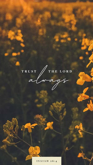 金黃色的花朵配上文字 trust the lord always 和 isaiah 26:4