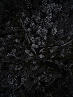 一輛孤獨的汽車在夜間沿著蜿蜒的道路穿過雪林行駛。 — 深色iPhone壁紙