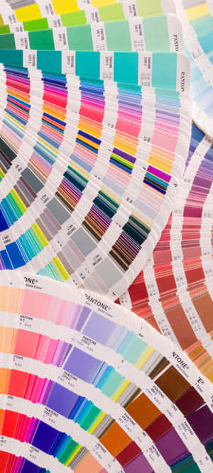 Pantone 色板以扇形排列，展示廣泛的色調光譜。 — Redmi Note 14 Pro 壁紙