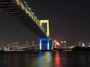 彩虹橋在夜間亮起，煙火在東京天際線上綻放，倒映在水面上。