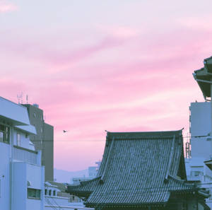 粉紅色的暮色天空籠罩著傳統寺廟屋頂和現代建築，有一隻鳥在飛翔。 — 柔粉 壁紙
