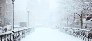 大雪中，一條積雪的城市街道，有樹木和欄杆。