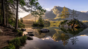 日出時分的山間湖泊，完美倒映樹木和山峰。