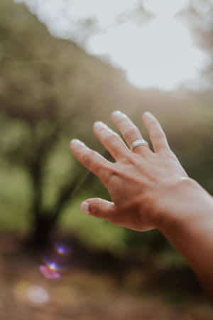 一隻戴著結婚戒指的手在森林中伸向陽光。