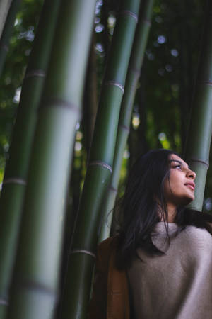 女性站在高大的竹莖之間，在森林中向上看。
