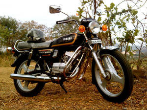經典Yamaha RX100電單車停泊在近樹的落葉地上。 — 機車 壁紙