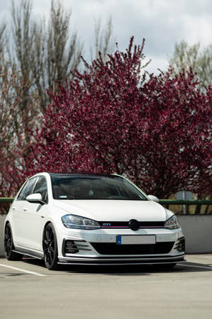 白色福士GTI停泊在停車場的紅色開花灌木旁。 — 哥爾夫球場 壁紙